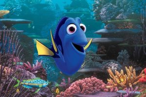 Dory