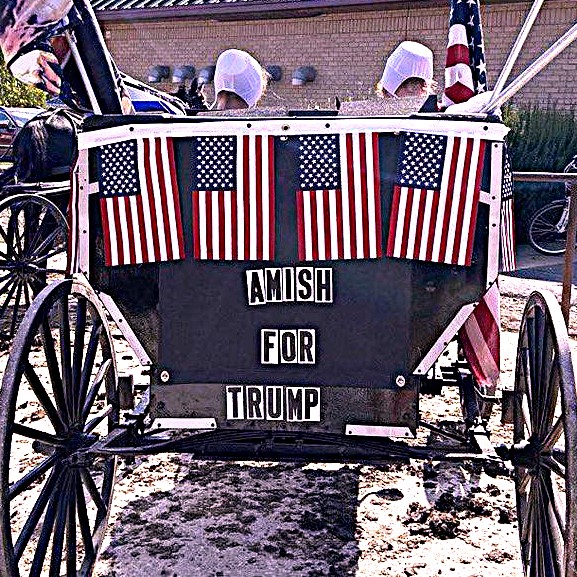 The Amish Don’t Vote. Why This Year Could Be Different Christian